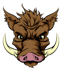 Boar mascot