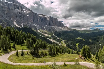 Peel and stick wall murals Dolomites Dolomites route