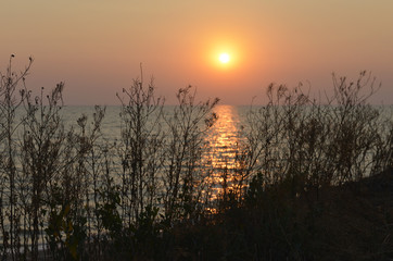 Obraz premium sunrise over a field and sea