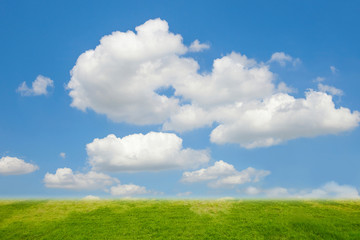 Fototapeta premium Blue sky and grass