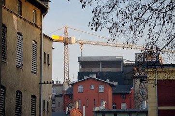 Żuraw © Artur Henryk