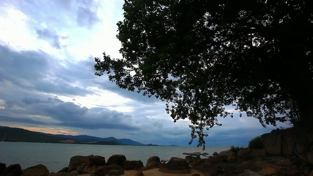 Tropical beach under gloomy sky with alone tree. Koh Samui,