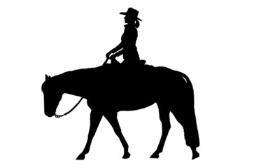 Westernreiten Pleasure