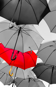 red umbrella standing out from the crowd
