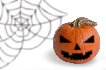 CALABAZA Y  TELARAÑAS