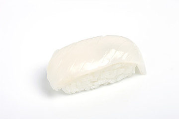 にぎり寿司　アオリイカ