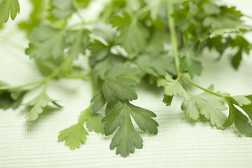 イタリアンパセリ