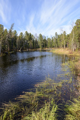 scenic autumn landscape of river and trees in northern Russia