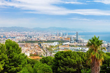 Naklejka premium Panorama Barcelony z zamku Montjuic, Katalonia. Hiszpania