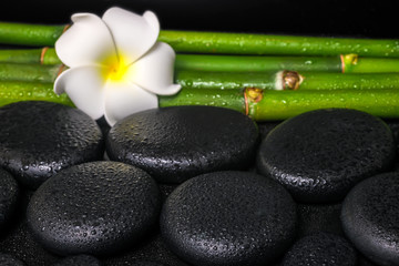 Obraz na płótnie Canvas beautiful spa concept of zen basalt stones, white flower frangip