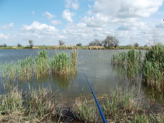 На рыбалке © balrogq