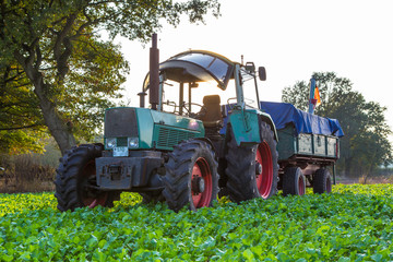 Obraz premium Landwirtschaft