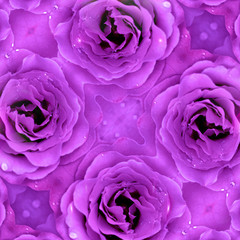 Beautiful purple flower background