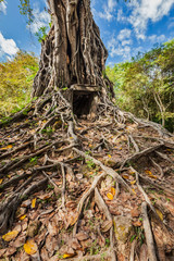 Sambor Prei Kuk temple ruins, Cambodia