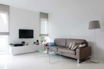 White living room with taupe sofa