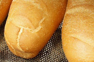 Bakery products in bakery shop