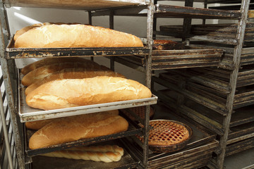 Bakery products in bakery shop