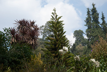 Parc d'Ooty