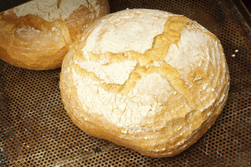 Bakery products in bakery shop