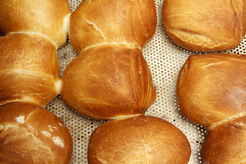 Bakery products in bakery shop