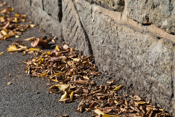 Herbst in Aigen/ Schlägl - Herbstfarben