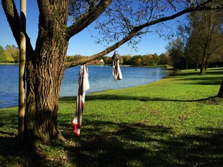 Baum dient als Kleiderständer am Badesee für Bikini