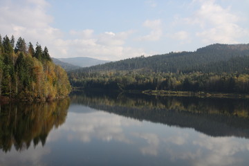 Water and forest in autumn