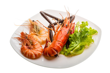 Giant Freshwater Prawn and king prawns