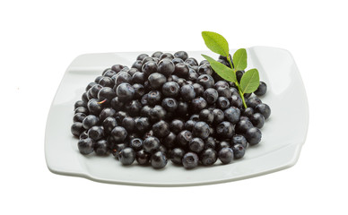 Blueberry