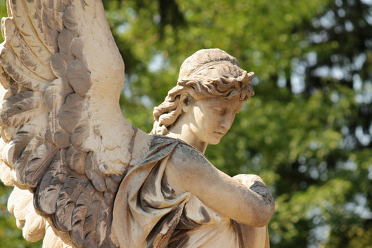Figure Of  Angel