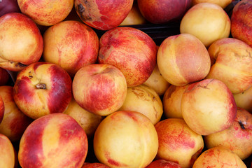peach group from marketplace