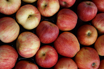red apple group from marketplace