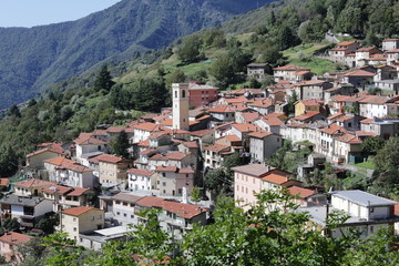 Fototapeta premium Versilia