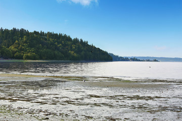 Private beach with Puget Sound view, Burien, WA