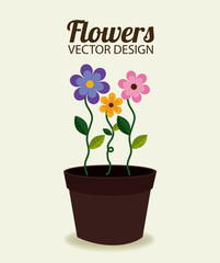 Flowers design