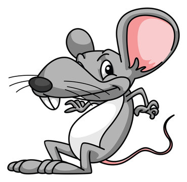 Rat Cartoon Funny