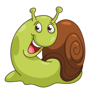 Snail CartoonIllustration