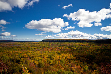 Cape Croker Cliff Autumn Fall Forest Trees landscape