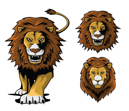 Lion Illustration Set