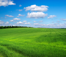 green field