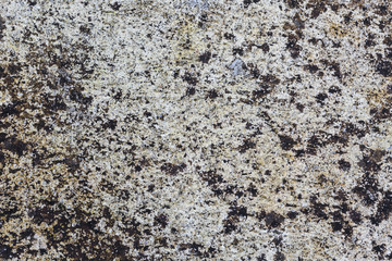 cement wall