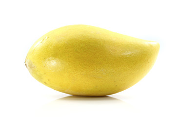 Yellow mango isolated on white background