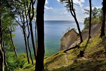 Kreideküste im Nationalpark Jasmund | Rügen