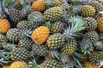 Big group of pineapples 