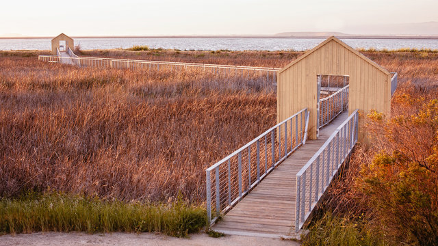 Alviso Marina County Park