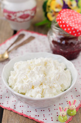 Cottage Cheese (Quark, Cream Cheese, Curd) in a White Bowl