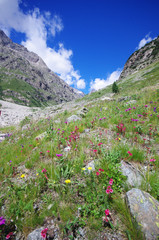 massif des &eacute;crins - oisans