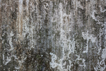 Fototapeta premium dirty wall