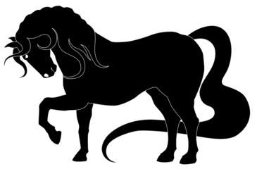 Vector illustration. Silhouette of a thoroughbred horse