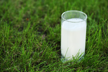 Milk in glass on grass close-up